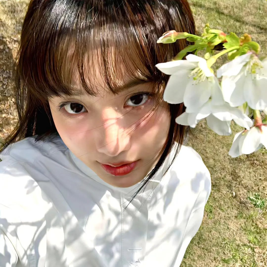 小鸟总动员